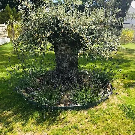 75m2 Avec Piscine Et Jacuzzi Prives, Sauna Et Home-cinema A 800m Des Commodites Βίλα *